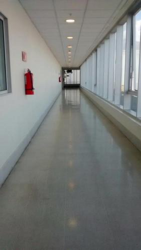 Pisos clinicos